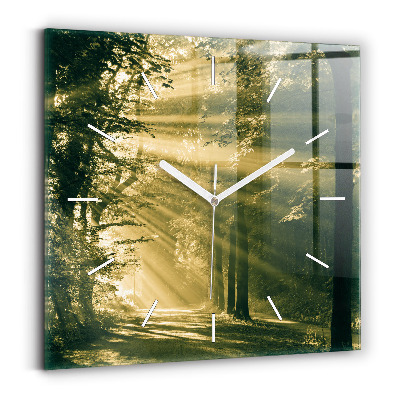 Square glass wall clock Sun Rays Forest