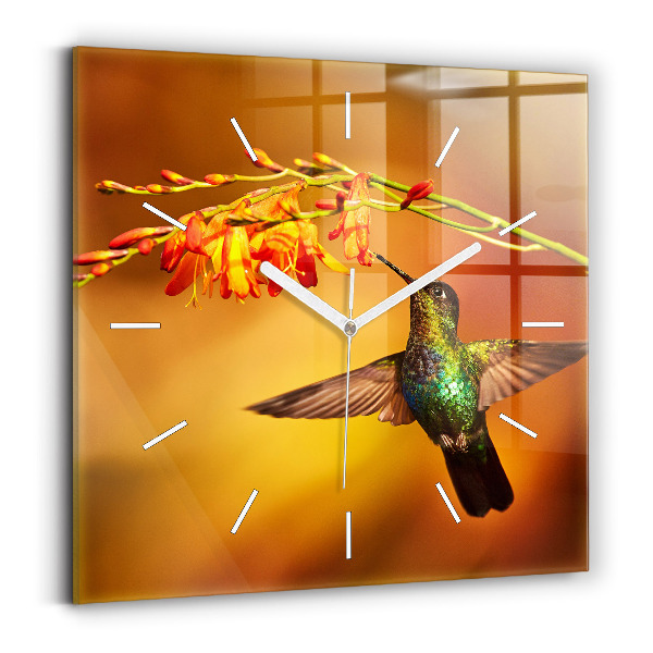 Square glass wall clock Hummingbird bird