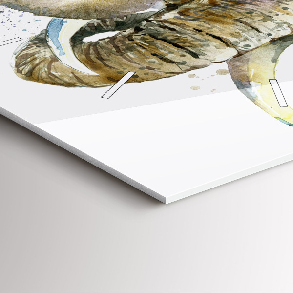 Square glass wall clock Painted animals elephants