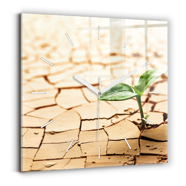 Square glass wall clock Plant in dry soil