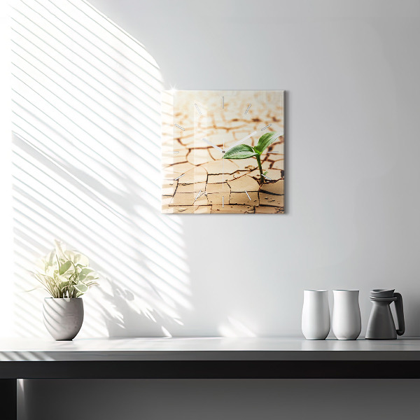 Square glass wall clock Plant in dry soil