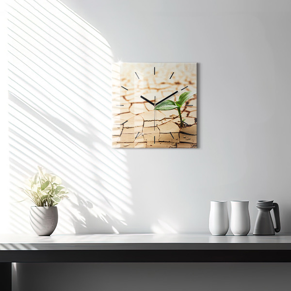 Square glass wall clock Plant in dry soil