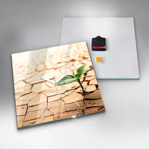 Square glass wall clock Plant in dry soil