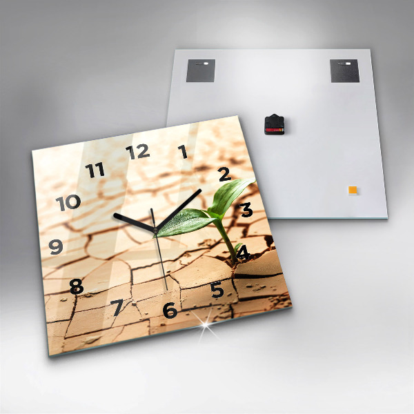 Square glass wall clock Plant in dry soil
