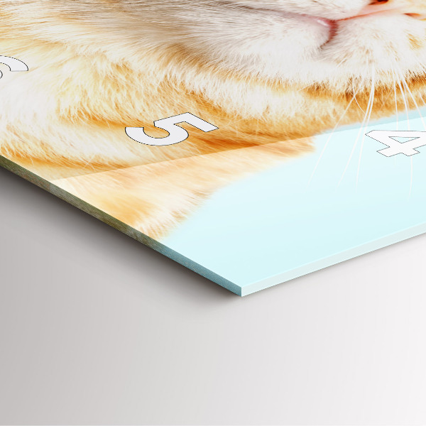 Square glass wall clock Funny cat with glasses