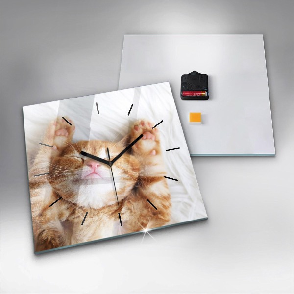Square glass wall clock Sleeping little kitten