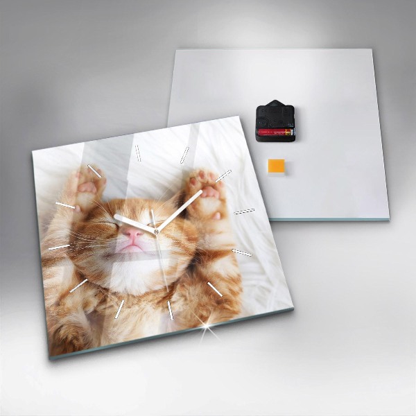 Square glass wall clock Sleeping little kitten