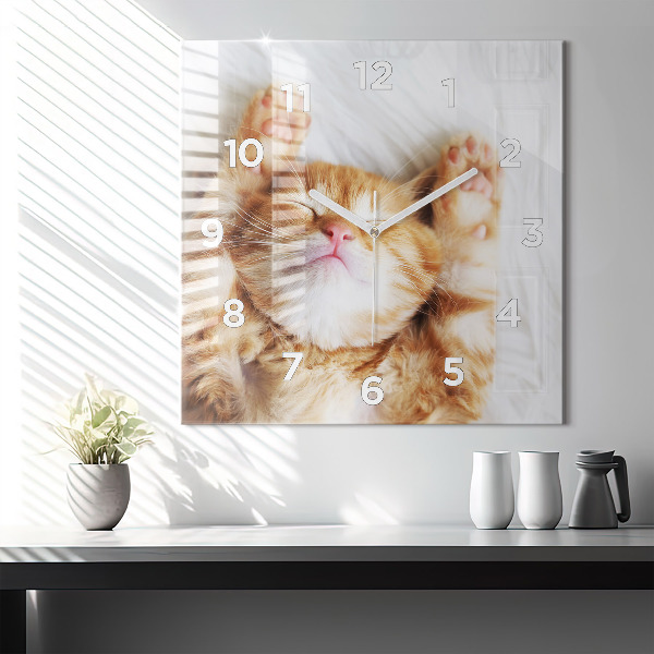 Square glass wall clock Sleeping little kitten