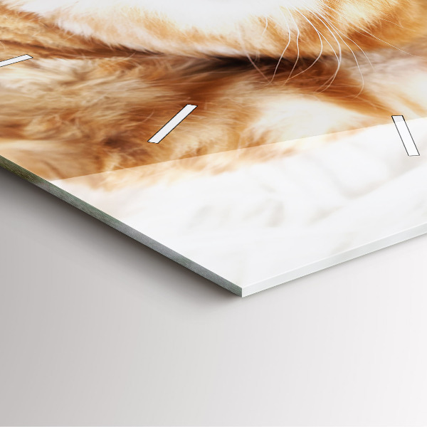 Square glass wall clock Sleeping little kitten