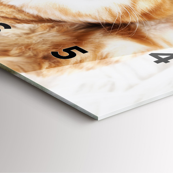 Square glass wall clock Sleeping little kitten