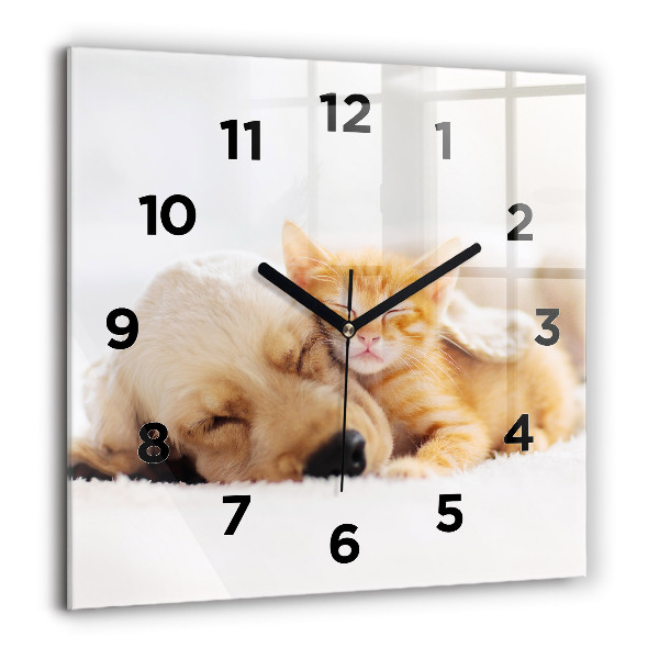 Square glass wall clock Sleeping cat and dog