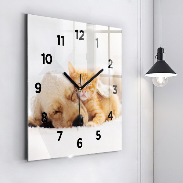 Square glass wall clock Sleeping cat and dog