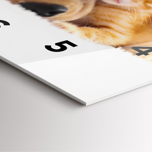 Square glass wall clock Sleeping cat and dog