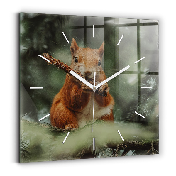 Square glass wall clock Squirrel and wild nature