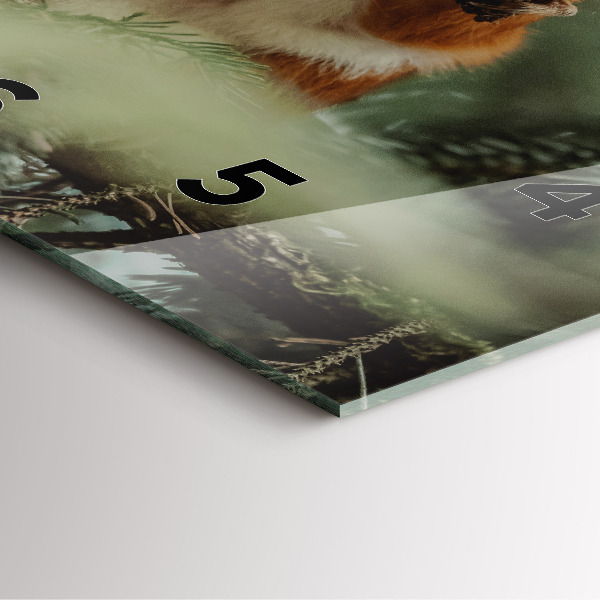Square glass wall clock Squirrel and wild nature