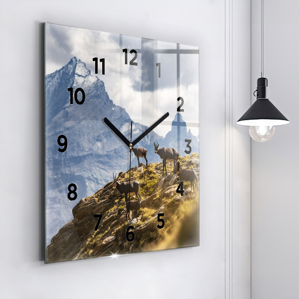 Square glass wall clock Goat in the Aosta Valley