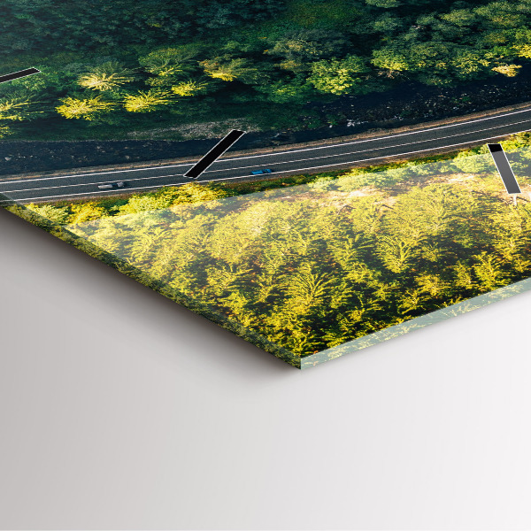 Square glass wall clock Forest from a bird's eye view