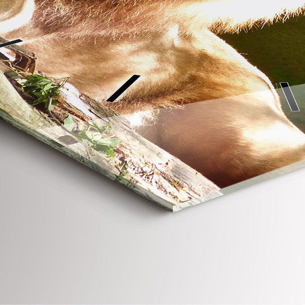 Square glass wall clock Portrait of a Lion