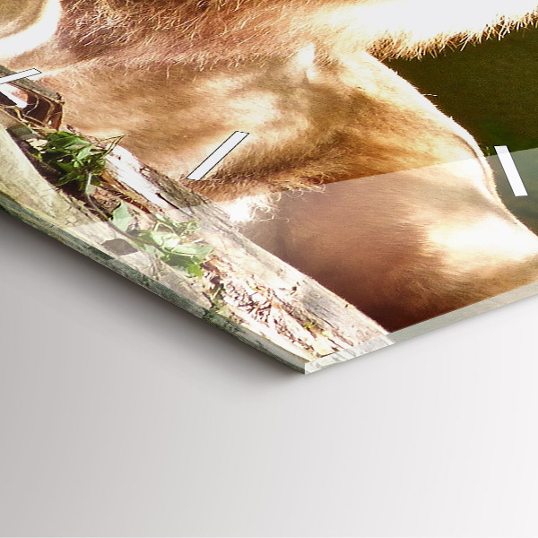 Square glass wall clock Portrait of a Lion