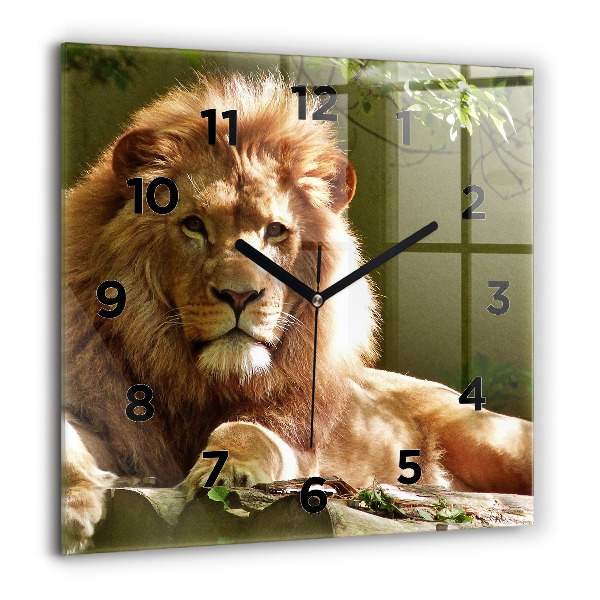 Square glass wall clock Portrait of a Lion