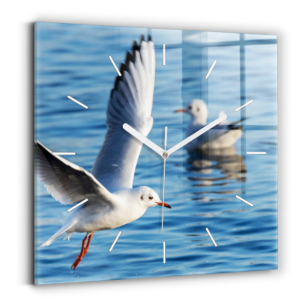 Square glass wall clock Seagulls in Gdynia