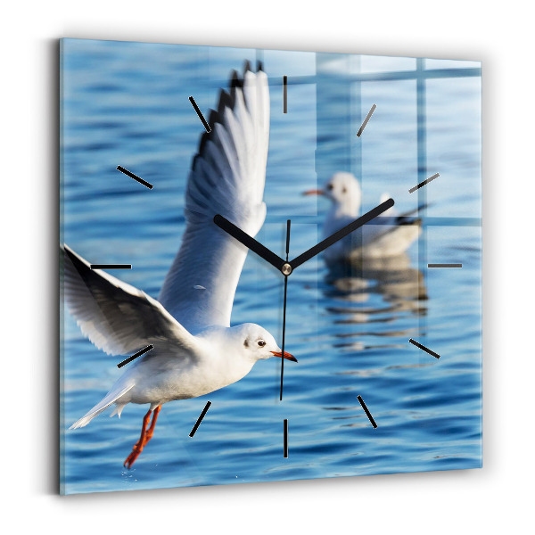 Square glass wall clock Seagulls in Gdynia
