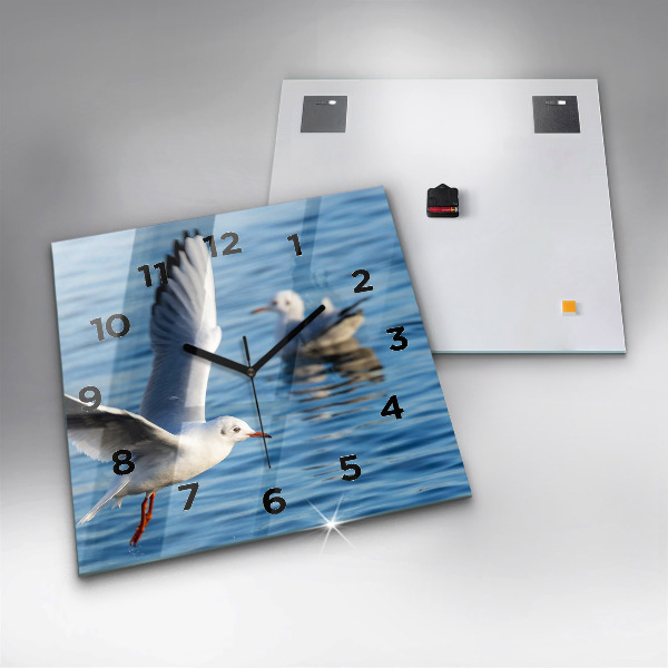 Square glass wall clock Seagulls in Gdynia