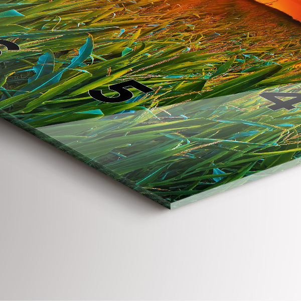 Square glass wall clock Sunflowers in the meadow