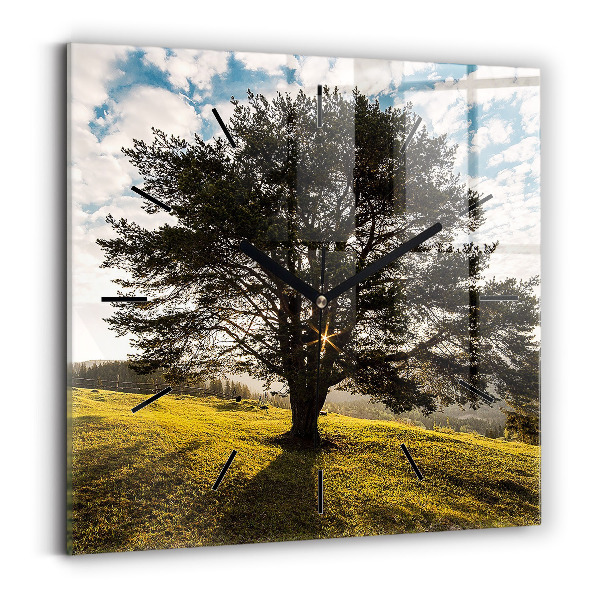 Square glass wall clock A tree on a hill