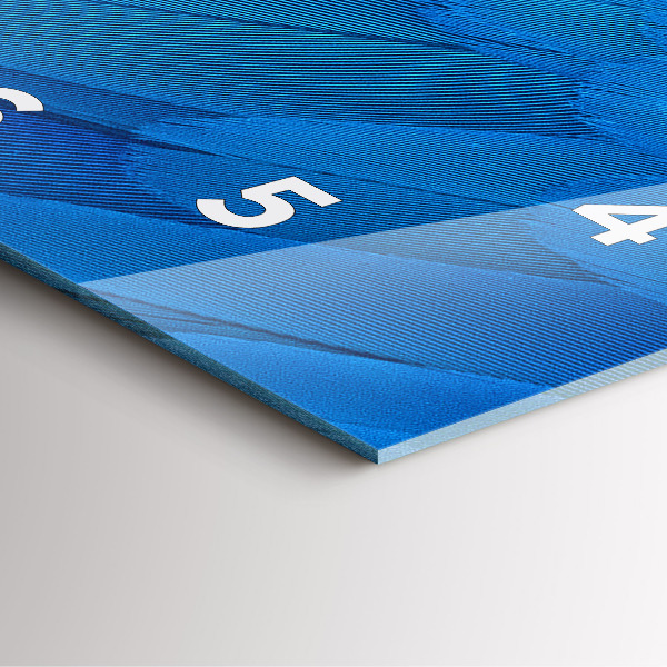 Square glass wall clock Bird feather