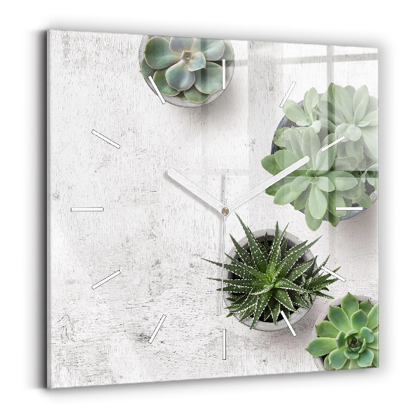 Square glass wall clock Ornamental plants