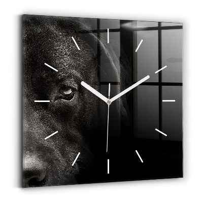 Square glass wall clock Scottish Fold Dog and Cat