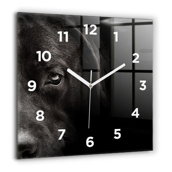 Square glass wall clock Scottish Fold Dog and Cat