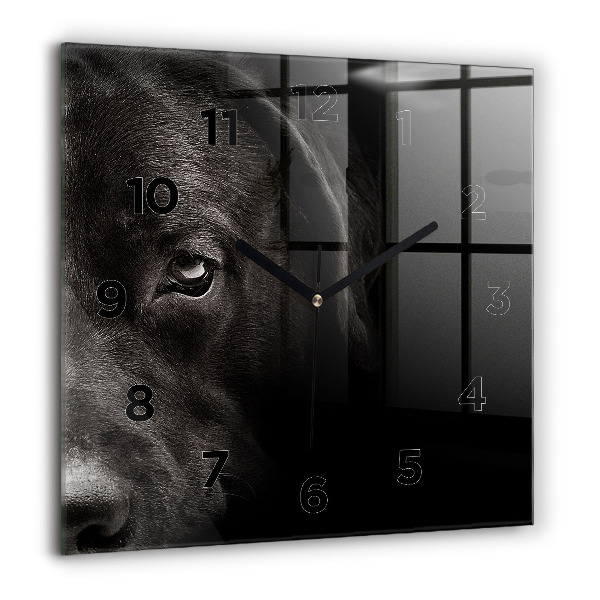 Square glass wall clock Scottish Fold Dog and Cat