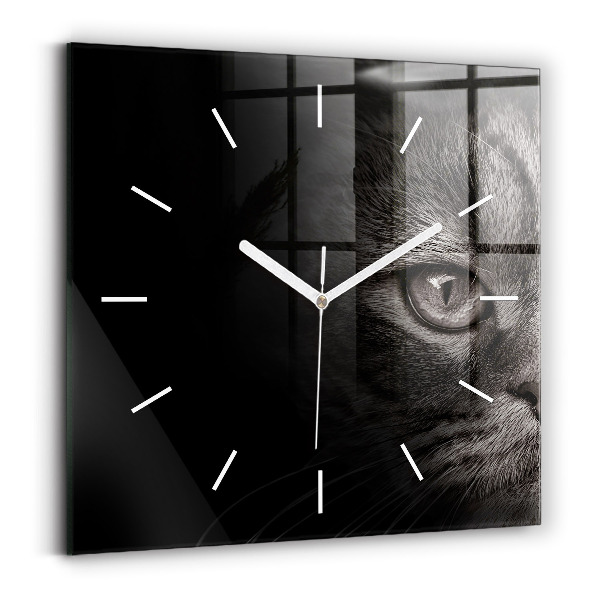 Square glass wall clock Scottish Fold Dog and Cat