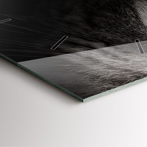 Square glass wall clock Scottish Fold Dog and Cat