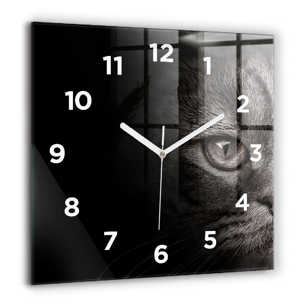 Square glass wall clock Scottish Fold Dog and Cat