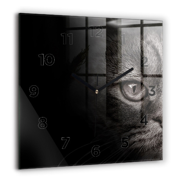 Square glass wall clock Scottish Fold Dog and Cat