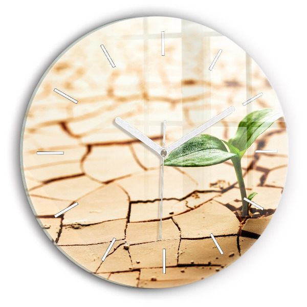 Round glass clock Plant in dry soil