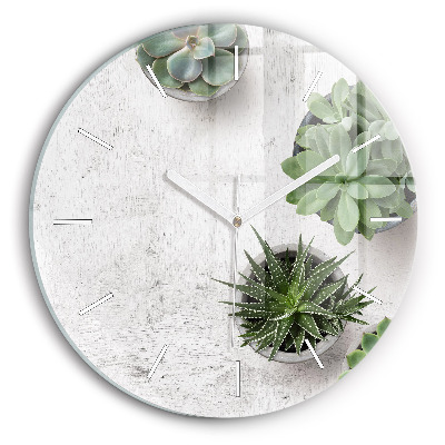 Round glass clock Ornamental plants