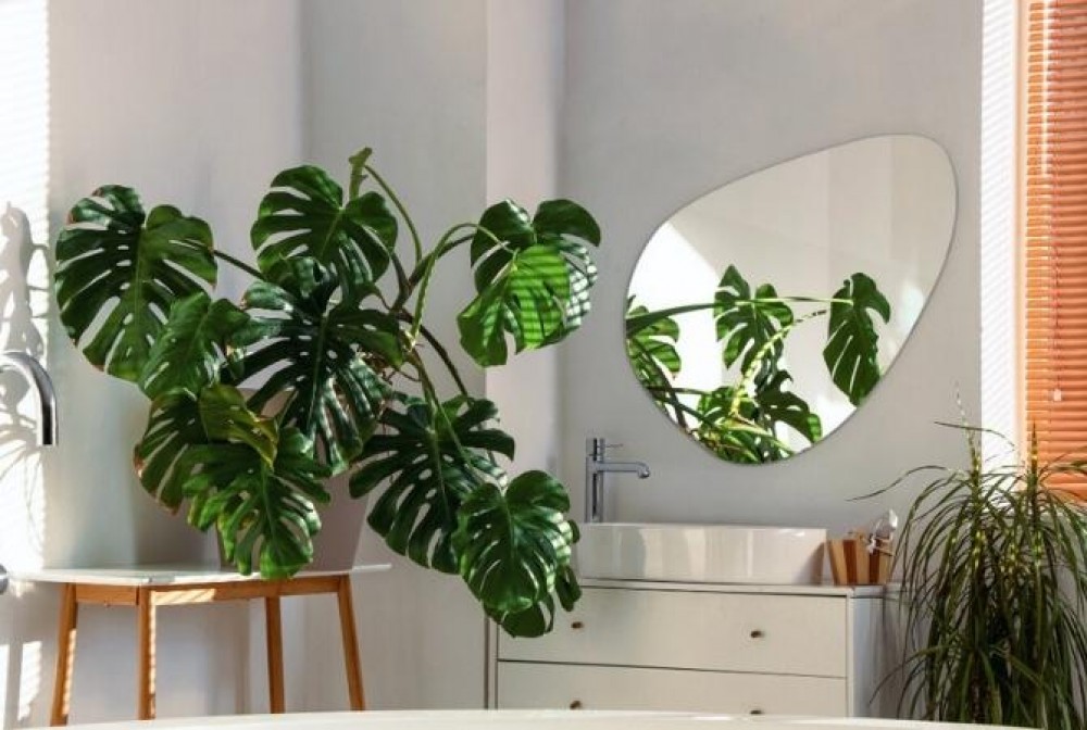 mirror for white bathroom